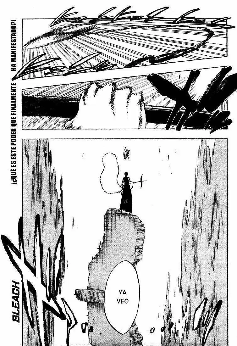 Bleach: Chapter 325 - Page 1