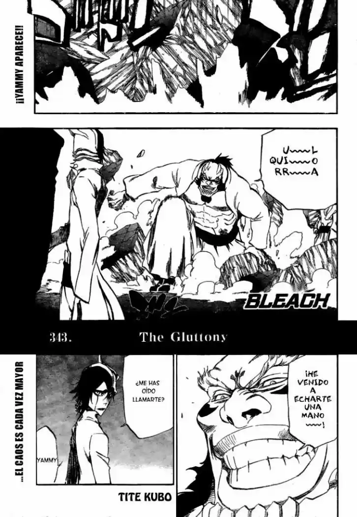 Bleach: Chapter 343 - Page 1