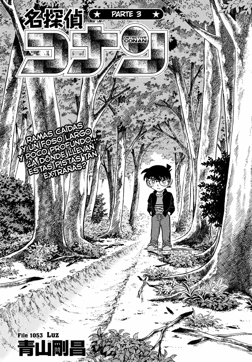 Detective Conan: Chapter 1053 - Page 1