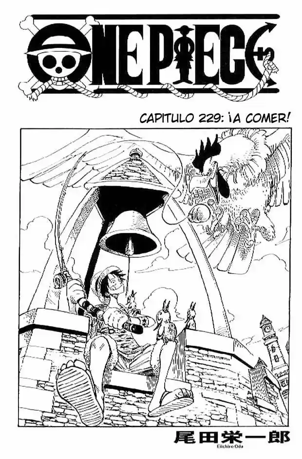 One Piece: Chapter 229 - Page 1